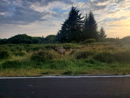 Endert Beach Road - Thumbnail