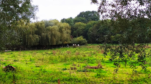 Cornmill Meadows Car Park - Thumbnail