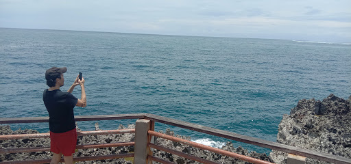 Transport Service Tour