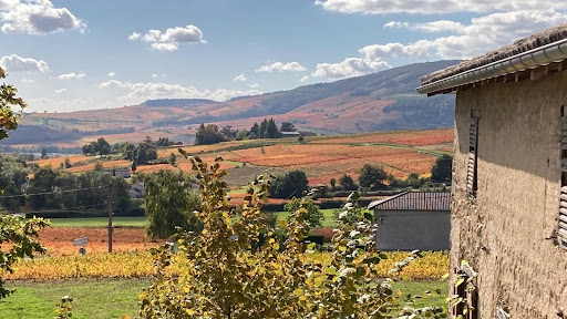 Photo de Rivier Claire à Régnié-Durette (69430)