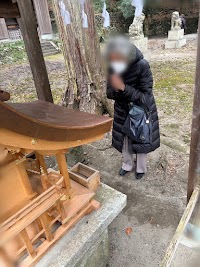 プラチナライフ木部