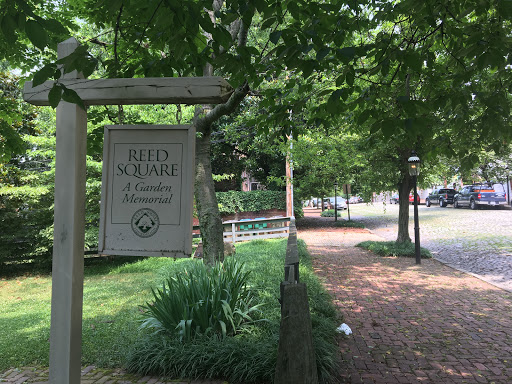 Reed Square - Visual