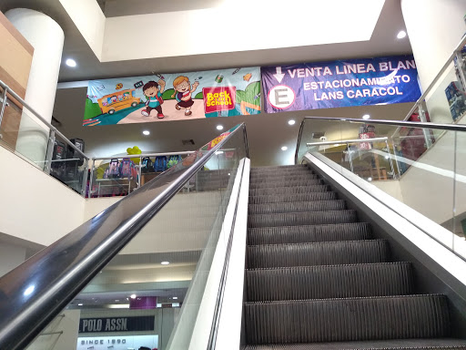 Lans - Visual