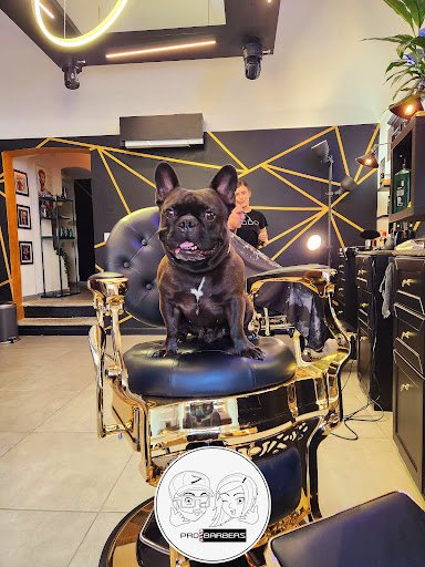 Probarbers - Thumbnail