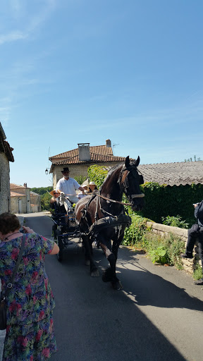 Mairie de Salles-de-Villefagnan - Thumbnail