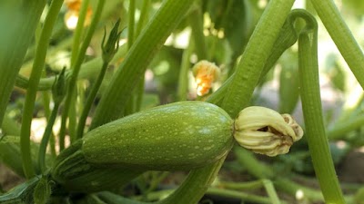 Photos of Abdulla Bin Khater (ABK) Foodstuff L.L.C