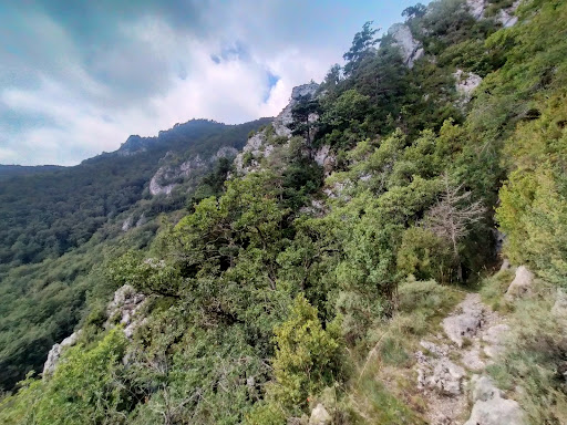 El Malpas - Visual