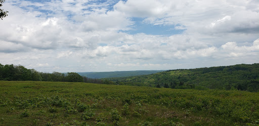 Houghton Land Preserve - Thumbnail