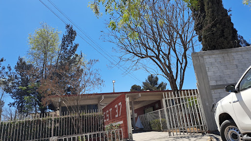 SECUNDARIA TECNICA 37 Arturo Ruiz Higuera - Thumbnail