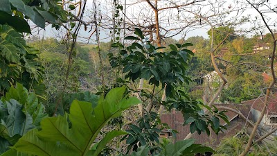 Photos of Taman Indrakila