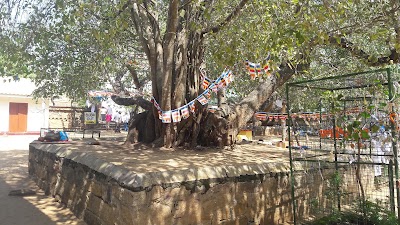 Photos of Car Park - Jaya Sri Maha Bodhiya