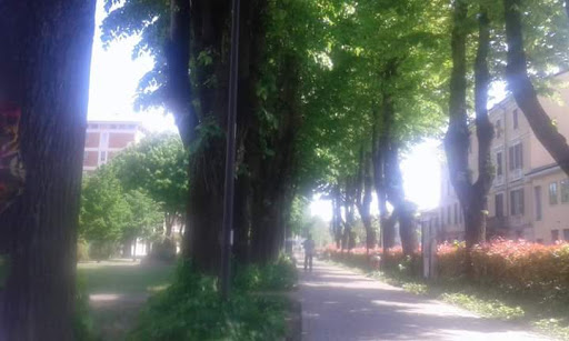 Family And Children Park - Thumbnail