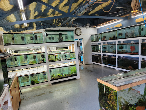 Fish Barn - Visual
