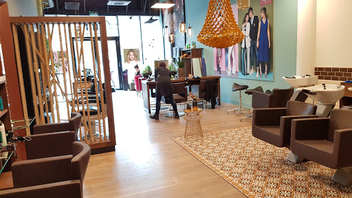 AMI Kappers Amsterdam - Thumbnail
