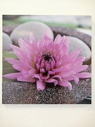 Photo n°15 de Peggy MALINGUE - SOPHROLOGUE à AUCHEL / LILLERS, Stress/Anxiété/Acouphènes - Certifiée RNCP à Auchel (Praticien de médecine alternative)