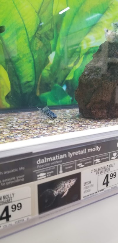 Petco