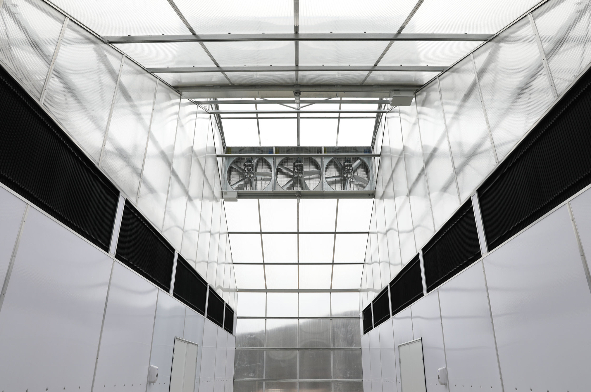 Next G3N Greenhouse