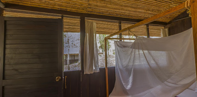 Opinii despre Tambo Ilusión hospedaje vegetariano în Tarapoto - Zapatería