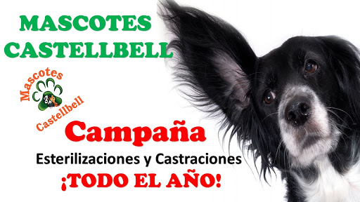 Mascotas Castellbell Centro Veterinario