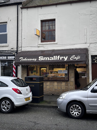 Smallfry - Visual