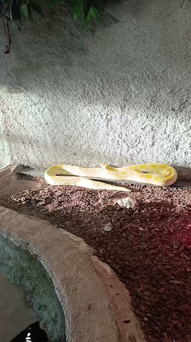 Zoo da Maia Horário de abertura