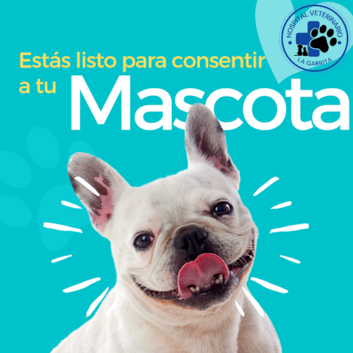 Hospital Veterinario La Garrita