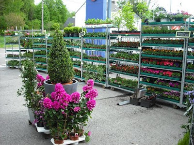 Photos of A l'air libre Fleuriste