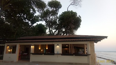 Photos of Blue Marlin Seafood Beach Pub