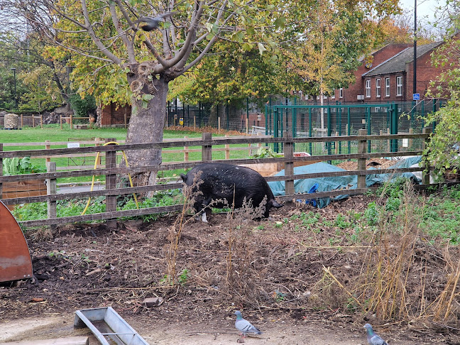 Stepney City Farm - Coffee shop