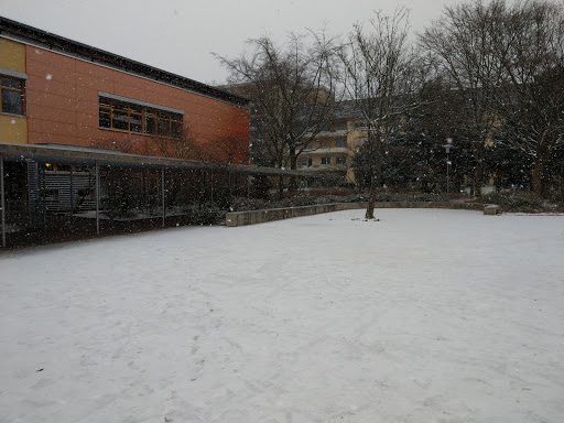 Christian-Morgenstern-Schule - Thumbnail