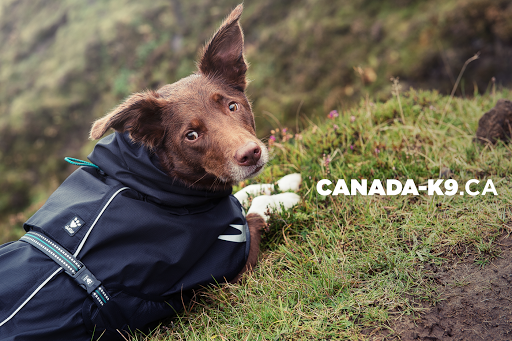 Canada-k9.ca - Visual