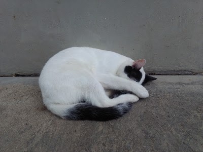 Photos of Trac Maburai