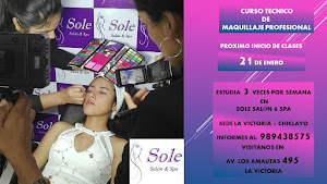 Sole Salon & Spa 9