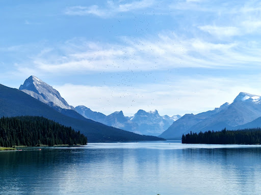 Travel Counsellor Suzanne Nagtegaal - Thumbnail