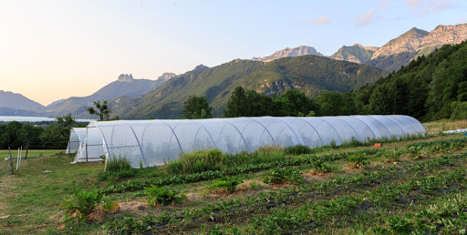 Le Jardin à Emporter