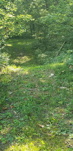 Donna May Campbell Nature Preserve - Darke County Parks - Thumbnail