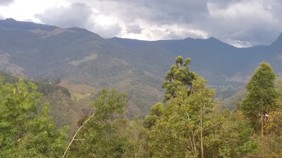 Photos of Sue&ntilde;os Park