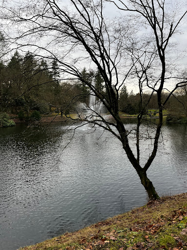 Theehuis park Berg en Bos