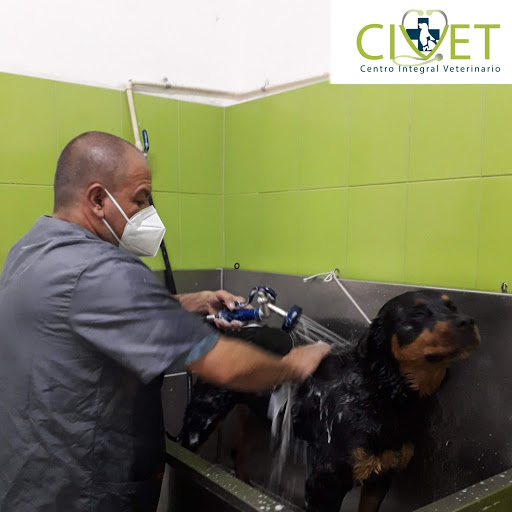 Centro Integral Veterinario (CIVET)