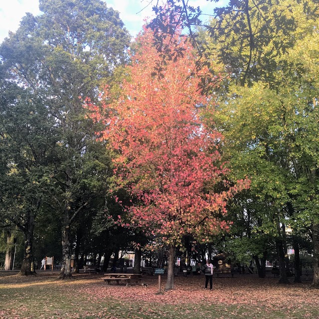 Parc Du Vivier