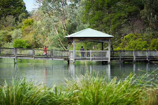 hockingstuart Ringwood - Visual