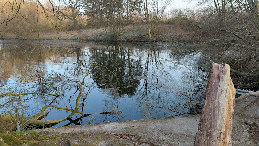 Härenbeker Teich - Thumbnail