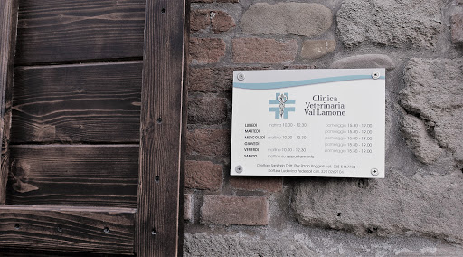 Val Lamone - Visual