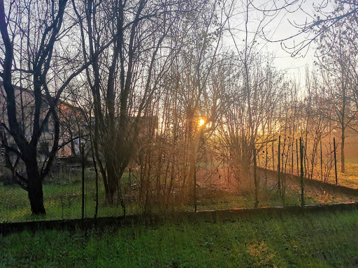 Parco Oristano