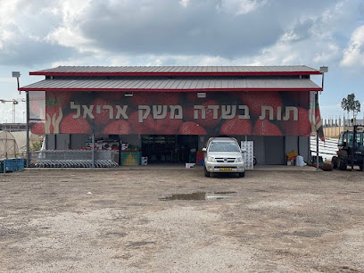 תות בשדה משק אריאל