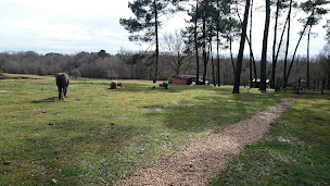 Photo n°5 de C.E.I.D. La Ferme Merlet à Saint-Martin-de-Laye (Association bénévole)