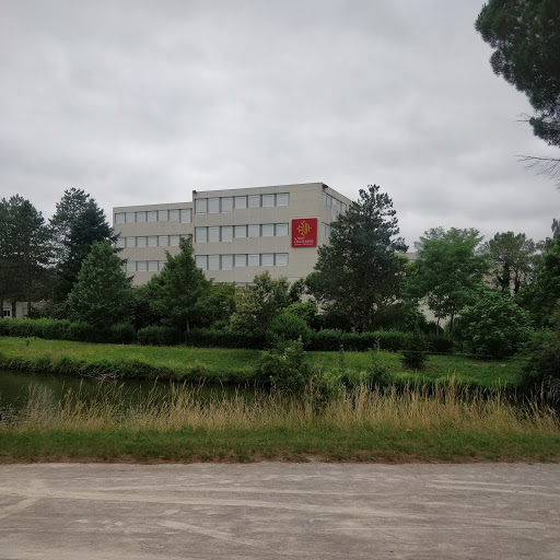 Comprehensive School De La Borde Basse - Thumbnail