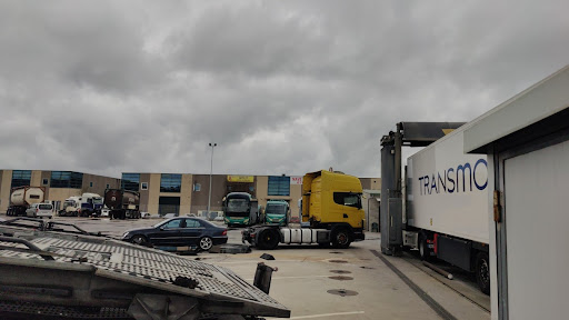 MC Cargo - Visual