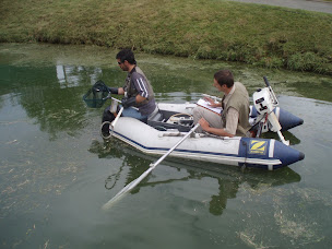 Photo n°9 de Hydrosphère à Saint-Ouen-l'Aumône (Entrepreneur spécialisé en aménagement aquatique)