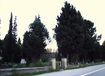 Kurtköy Cemetery